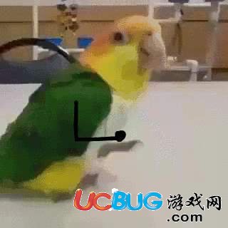 毫無違和感是什么意思 毫無違和感的出處在哪