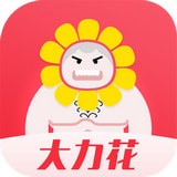 大力花(手機借貸軟件)v1.0.1安卓版