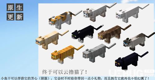 我的世界貓