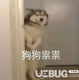 抖音上狗狗祟祟帶字表情包圖片匯總大全