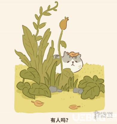 《微信動(dòng)物餐廳手游》條紋豺狼來訪條件是什么