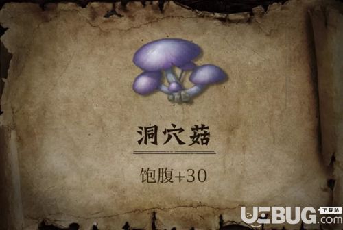 明日之后洞穴菇
