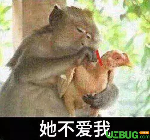 抖音她愛我她不愛我系列表情包