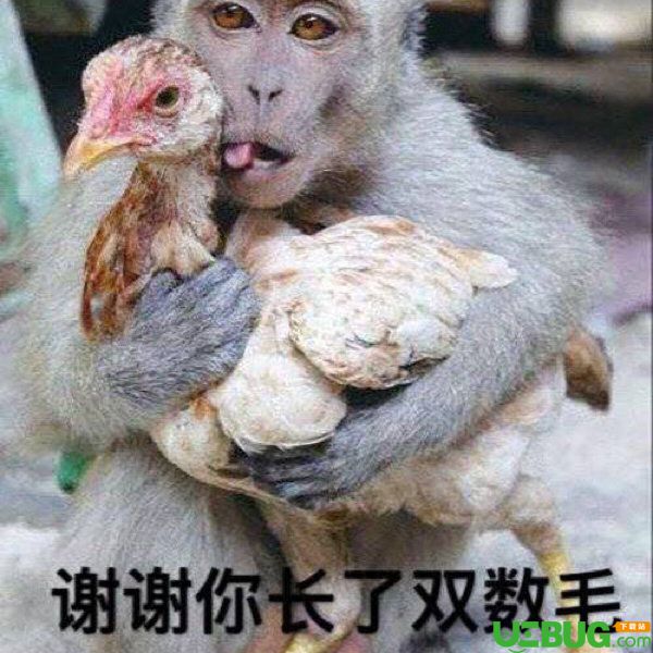 抖音她愛我她不愛我系列表情包
