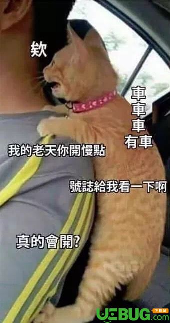 抖音上當(dāng)朋友剛拿駕照時(shí)表情包套圖分享