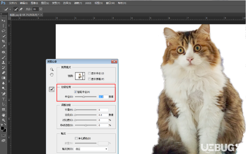 怎么利用Photoshop軟件調(diào)整邊緣工具進行摳圖