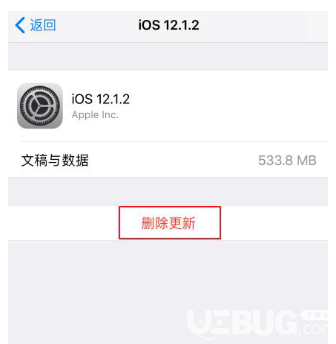 屏蔽iOS系統(tǒng)更新還是出現小紅點怎么解決