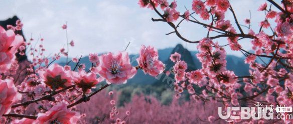《全面戰(zhàn)爭三國》孫尚香怎么招募
