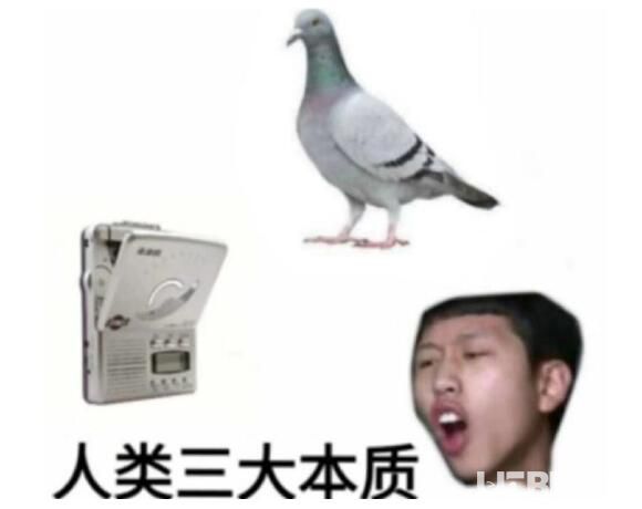 抖音人類三大本質(zhì)是什么意思