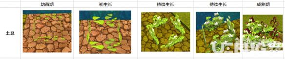 迷你世界蘿卜土豆怎么種 蘿卜土豆耕地使用種植技巧
