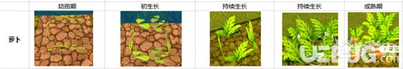 迷你世界蘿卜土豆怎么種 蘿卜土豆耕地使用種植技巧