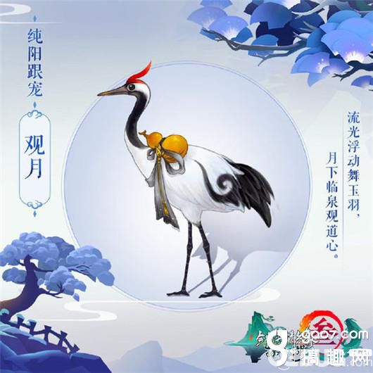 《劍網(wǎng)3指尖江湖手游》純陽(yáng)跟寵觀月怎么獲得