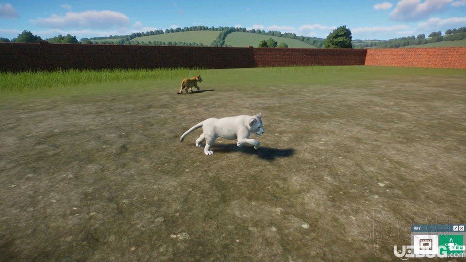 《動物園之星》游戲常見問題解決方法介紹