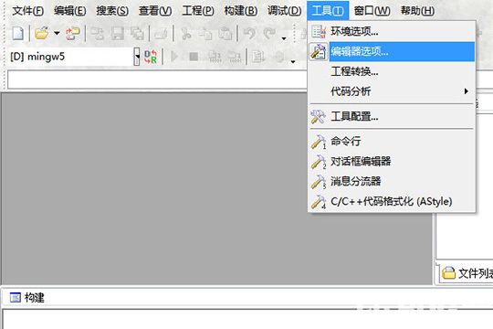 選擇其中的“編輯器選項”