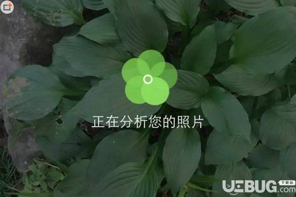 形色app下載