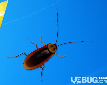 桌面寵物小強模擬器v1.4綠色版【1】