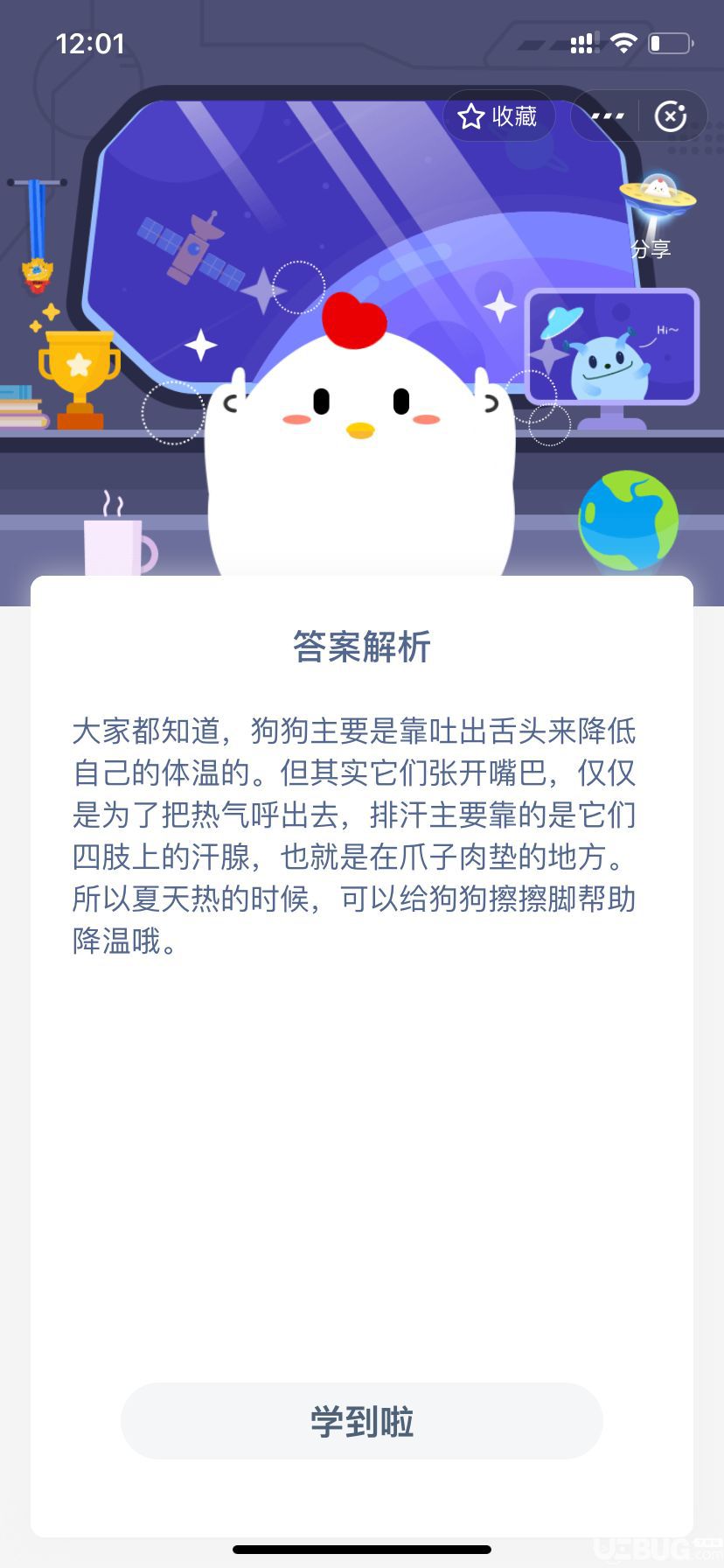 支付寶螞蟻莊園小雞寶寶考考你，狗狗爪子的肉墊，除了行走時有防滑的作用外，還能用來？