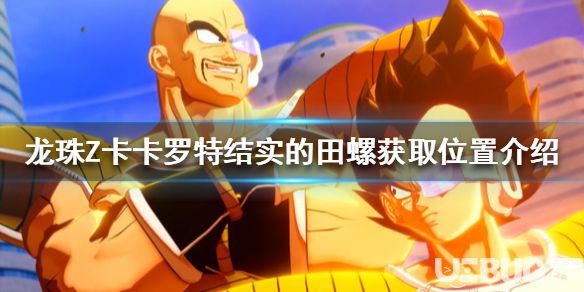 《龍珠Z卡卡羅特》結(jié)實(shí)的田螺位置在哪