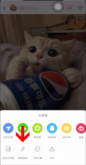 小紅書app上的圖片怎么保存到手機(jī)里