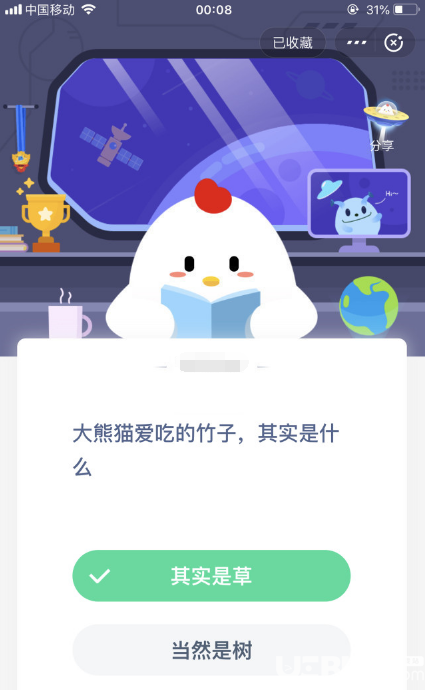 支付寶螞蟻莊園小課堂大熊貓愛吃的竹子，其實是什么？