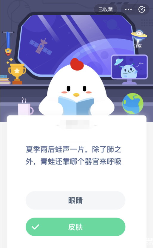 支付寶螞蟻莊園小課堂夏季雨后蛙聲一片，除了肺之外，青蛙還靠哪個器官來呼吸?
