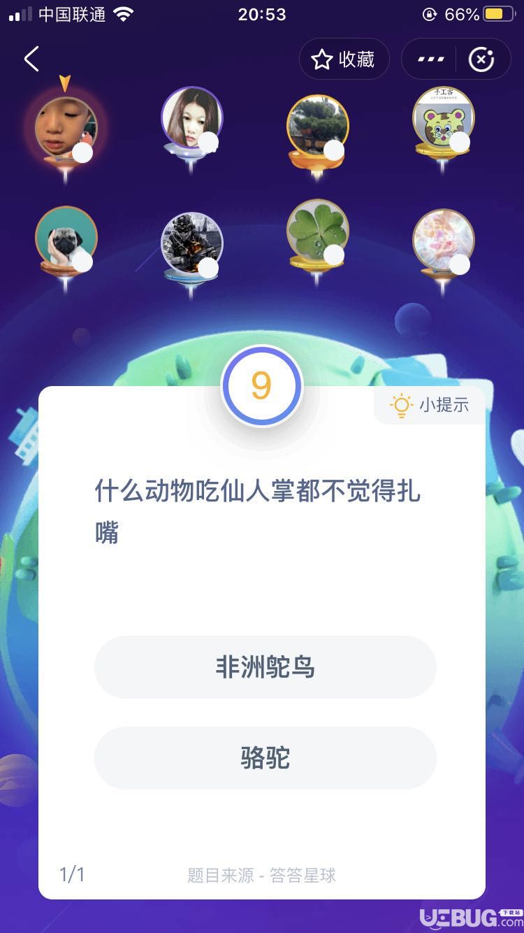 支付寶螞蟻莊園小課堂什么動(dòng)物吃仙人掌都不覺(jué)得扎嘴?