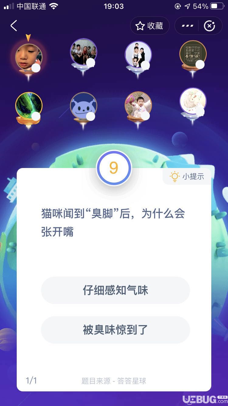 支付寶螞蟻莊園小課堂貓咪聞到“臭腳”后，為什么會(huì)張開嘴