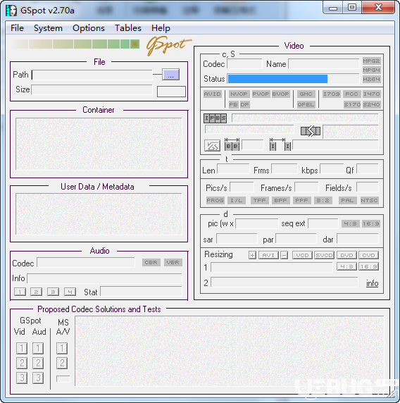 GSpot編碼檢測器v2.70免費版