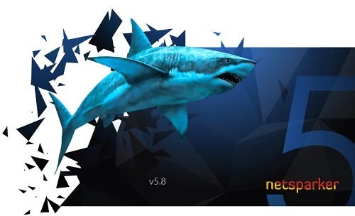 Netsparker(web應(yīng)用安全掃描工具)V5.8.1.28119 中文免費版
