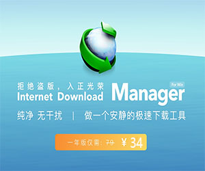 著名下載工具IDM特價(jià)優(yōu)惠,一年只需29元，剛需推薦購(gòu)買(mǎi)