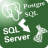 PostgresToMsSql(數(shù)據(jù)庫轉(zhuǎn)換工具)v2.6免費版