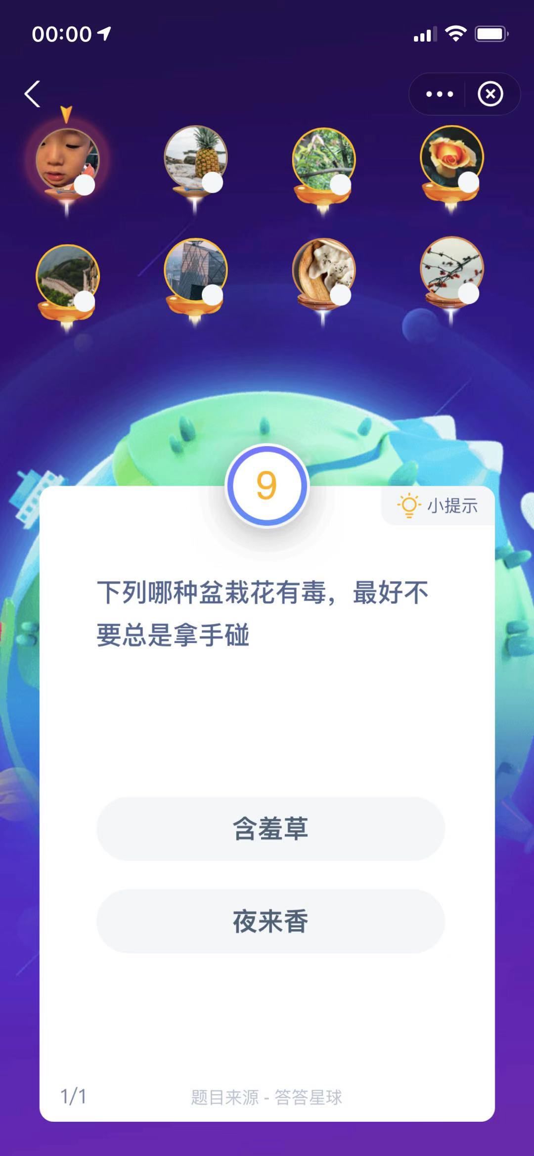 支付寶螞蟻莊園小課堂下列哪種盆栽花有毒，最好不要總是拿手碰