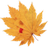 桌面快捷方式圖標(biāo)異常修復(fù)工具v1.0免費(fèi)版