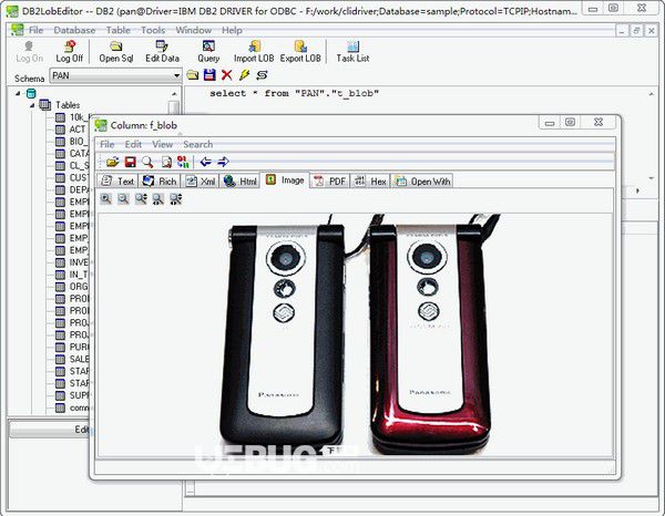 DB2LobEditor(db2數(shù)據(jù)庫(kù)編輯工具)