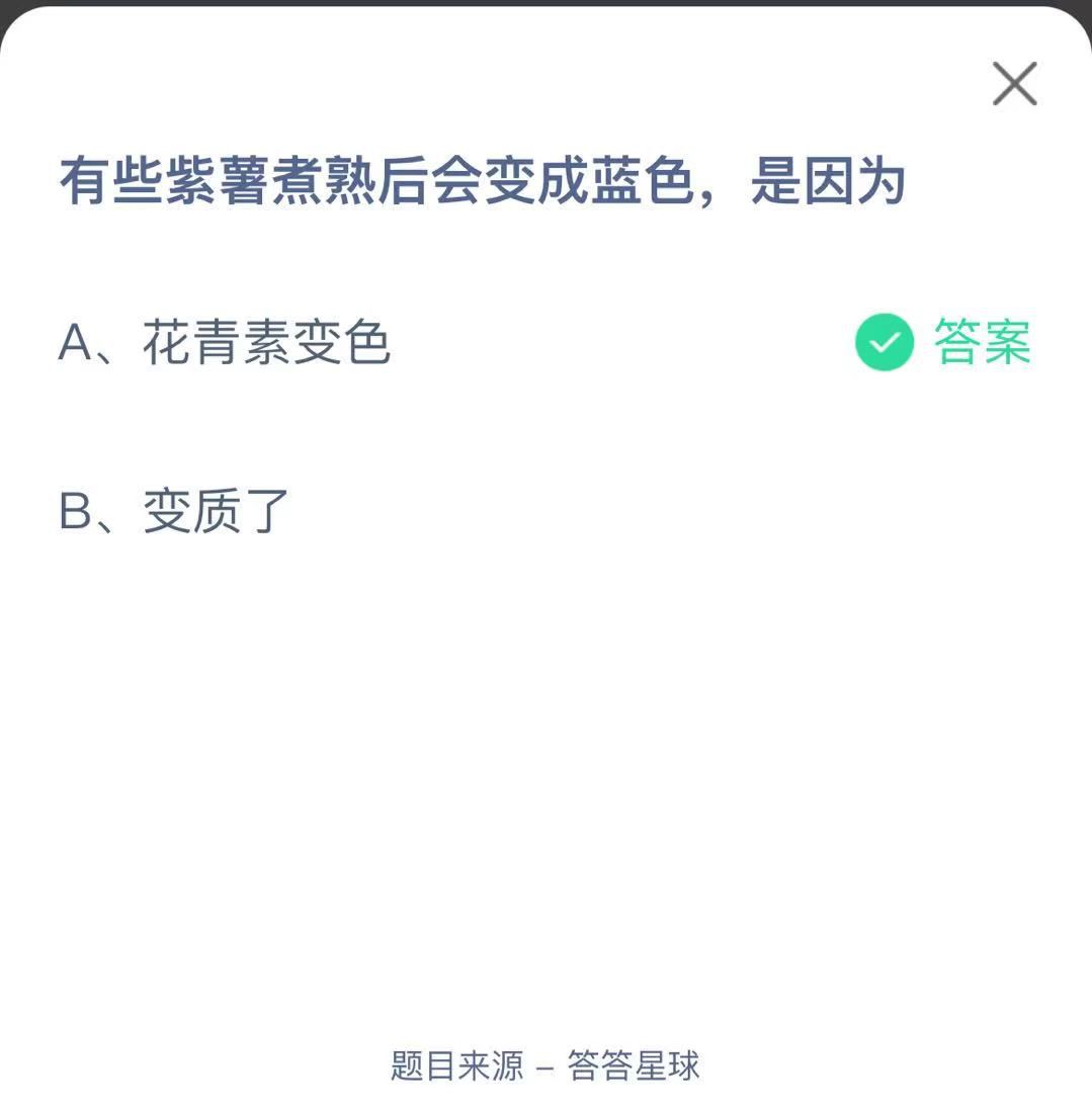 支付寶螞蟻莊園小課堂有些紫薯煮熟后會變成藍色，是因為
