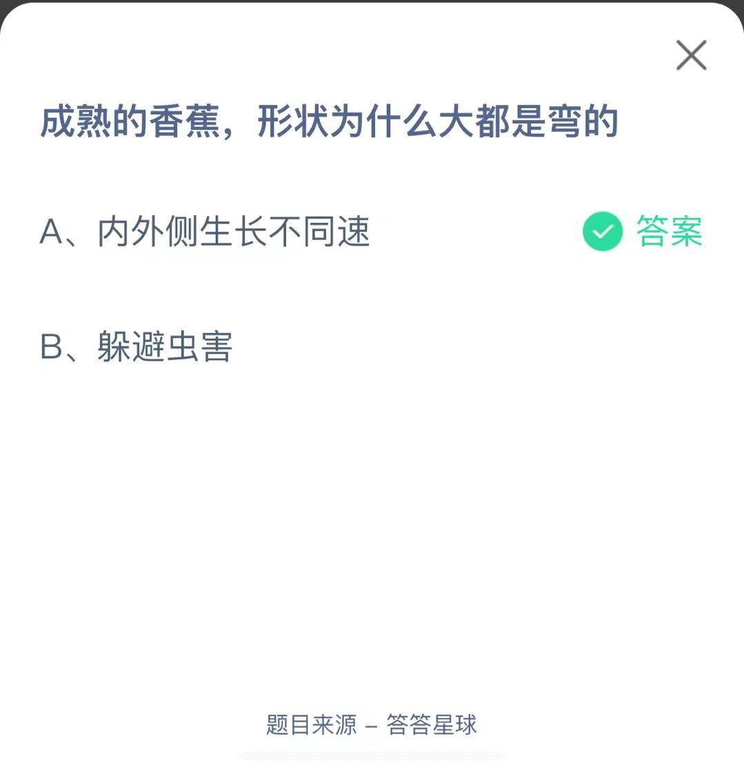 支付寶螞蟻莊園小課堂成熟的香蕉，形狀為什么大都是彎的