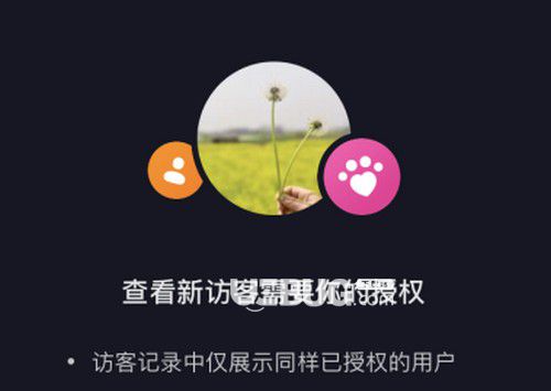 新版抖音顯示查看新訪客需要授權是什么意思