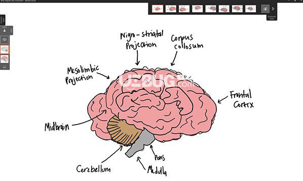 Mental Canvas(3D繪畫軟件)v1.0.19461免費(fèi)版【2】