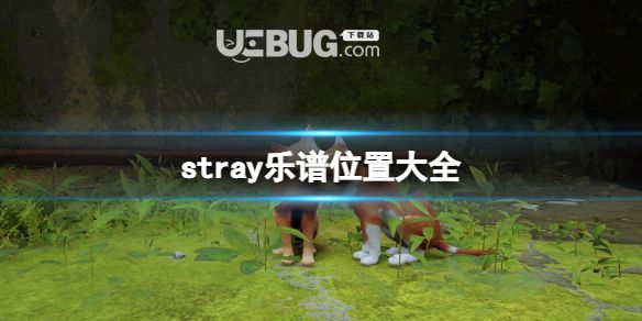 《迷失》stray樂譜有什么用？樂譜位置全集