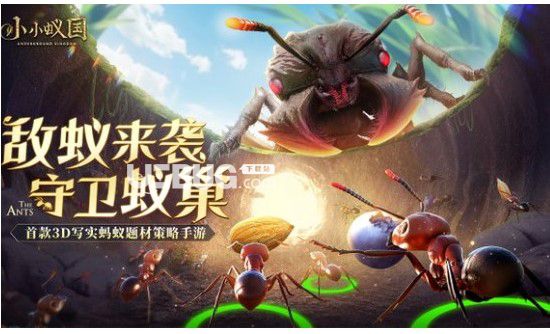 《小小蟻國》橙色特化蟻排名小小蟻國橙色特化蟻組合攻略