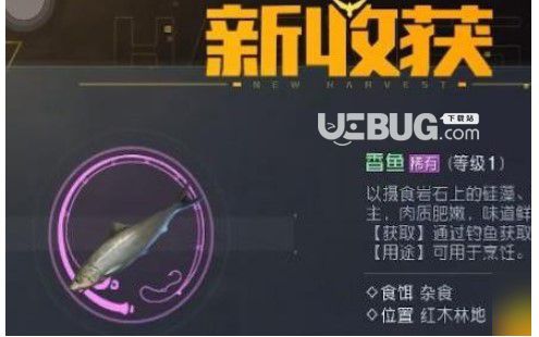 《黎明覺醒》香魚在哪釣黎明覺醒香魚釣取地點