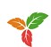 Trilium Notes(筆記軟件)  v0.59.3免費(fèi)版