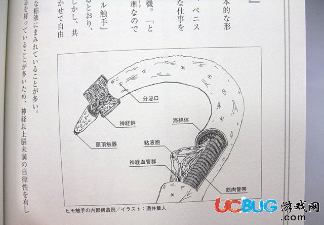 五一勞動節(jié)要到了,各種福利、歡樂、內涵爆笑圖集錦分享【3】