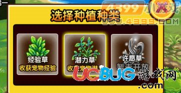 造夢西游3V3.1回到過去，穿越回神獸森林拯救青龍，寵物培養(yǎng)系統(tǒng)