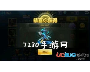 天天炫斗現(xiàn)在那么多寵物，哪個(gè)寵物最好？