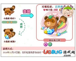 4399奧比島晶鉆萌浣熊怎么得？奧比島晶鉆萌浣熊在哪得？