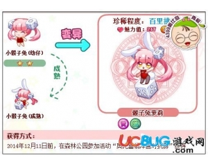 4399奧比島骰子兔蘿莉怎么得？奧比島骰子兔蘿莉在哪得？