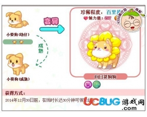 4399奧比島向日葵狗狗怎么得？奧比島向日葵狗狗在哪得？
