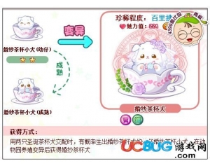 4399奧比島婚紗茶杯犬怎么得？奧比島婚紗茶杯犬在哪得？
