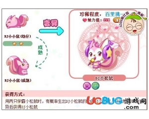 4399奧比島DJ小松鼠怎么得？奧比島DJ小松鼠在哪得？